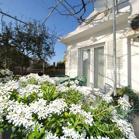 Antonio Apartmán